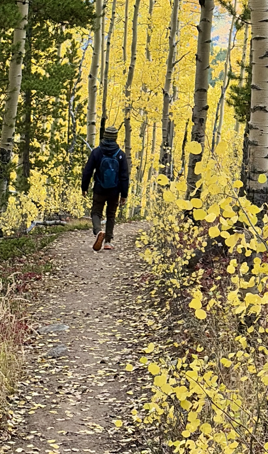 Man walking on trail with fall foliage.
